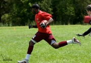 OTFL Gallery Image